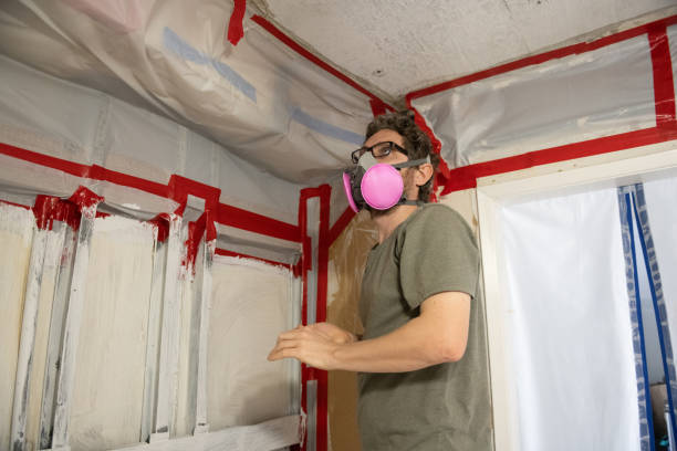 Best Industrial Mold Remediation  in Steele Creek, AK