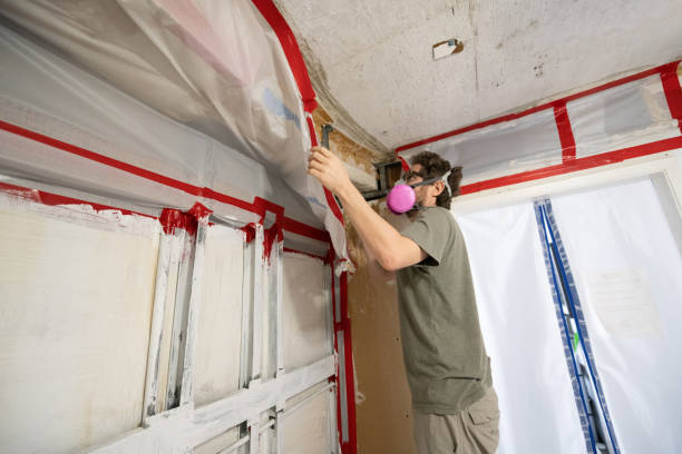 Best Basement Mold Removal  in Steele Creek, AK